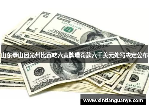 山东泰山因光州比赛吃六黄牌遭罚款六千美元处罚决定公布 山东泰山因光州比赛吃六黄牌遭罚款六千美元处罚决定公布