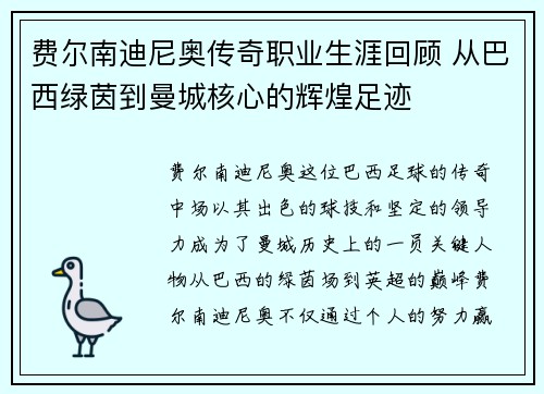 费尔南迪尼奥传奇职业生涯回顾 从巴西绿茵到曼城核心的辉煌足迹 费尔南迪尼奥传奇职业生涯回顾 从巴西绿茵到曼城核心的辉煌足迹
