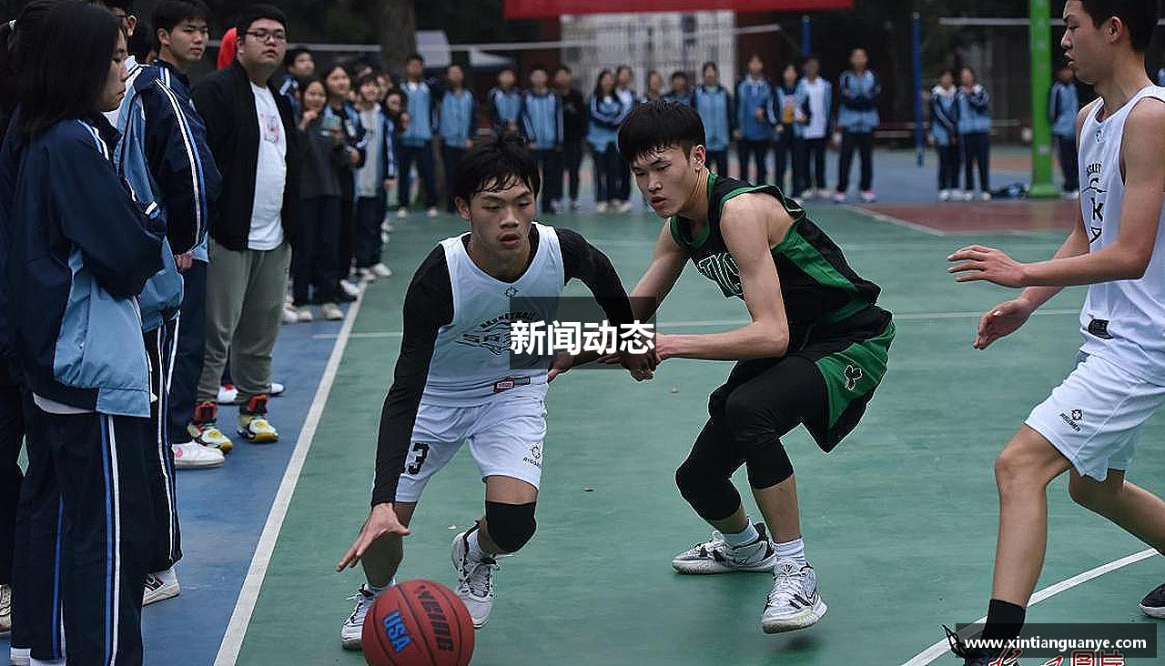 新闻动态
